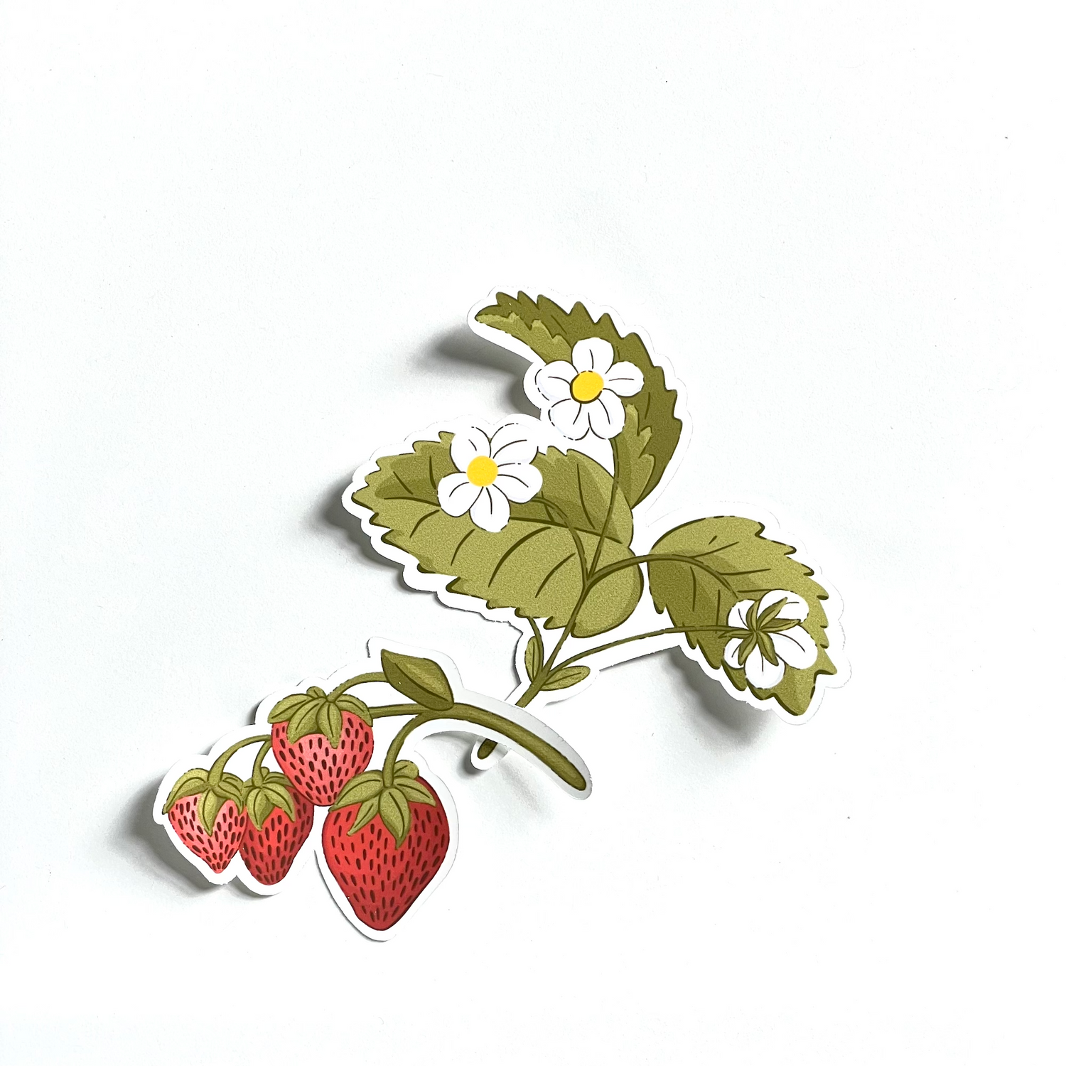 Strawberry Spring Collection